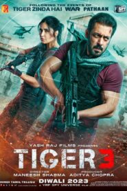 Tiger 3 (2023) Hindi Amazon WEB-DL- 720P | 1080P- Download & Watch Online