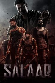 Salaar (2023) Dual Audio Hindi ORG HS WEB-DL-480P | 720P | 1080P Download & Watch Online