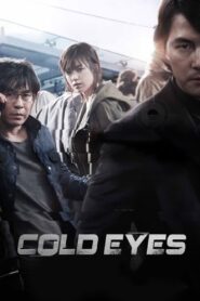 Cold Eyes (2013) Korean Blu-Ray – 480P | 720P | 1080P – x264 – Esub – Download & Watch Online With Subtitle