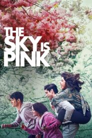 The Sky Is Pink (2019) Hindi WEB-DL – 480P | 720P | 1080P – x264 – Download & Watch Online