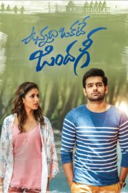 Vunnadhi Okate Zindagi (2017) UNCUT Dual Audio [Hindi-Telugu] WEB-DL – 480P | 720P | 1080P – x264 – Download & Watch Online
