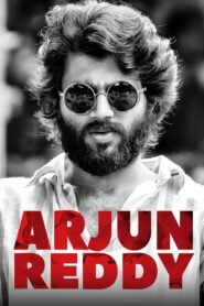 Arjun Reddy (2017) Hindi ORG WEB-DL – 480P | 720P | 1080P – x264 – Download & Watch Online