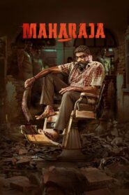 Maharaja (2024) Hindi NF WEB-DL– 480P | 720P | 1080P– Download & Watch Online